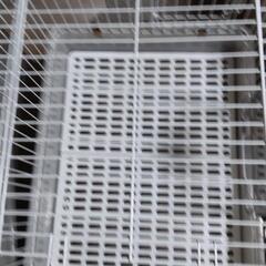小動物、うさぎのゲージの画像