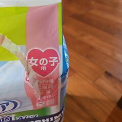女の子用紙おむつの画像