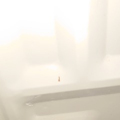 折りたたみ式台車の画像