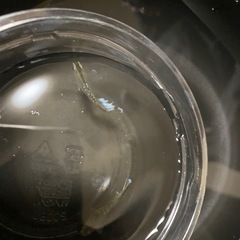 メダカ無人販売
の画像
