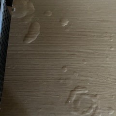 ニトリ　衣類収納の画像