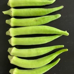 丸さやの白オクラ　８本の画像