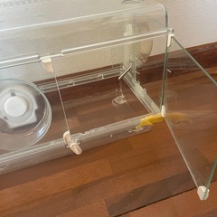 ハムスター ゲージ　グラスハーモニーの画像