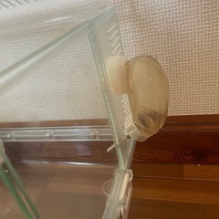 ハムスター ゲージ　グラスハーモニーの画像