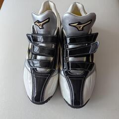 【球場ハウス内で３回使用のみ】MIZUNOオーダーベースボールトレーニングシューズの画像