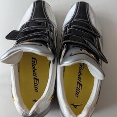【球場ハウス内で３回使用のみ】MIZUNOオーダーベースボールトレーニングシューズの画像