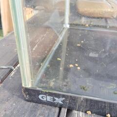 GEX　60センチ水槽の画像