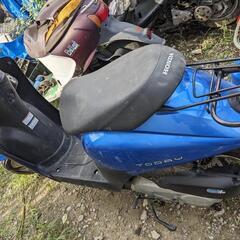 AF67 トゥデイ　の画像