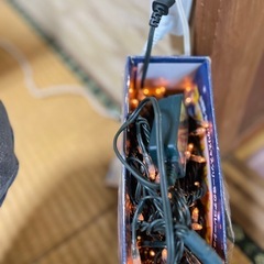 ゴージャス　ライトアップ　イルミネーション　の画像