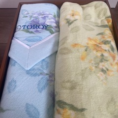 TOROY毛布二枚セットの画像