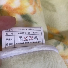TOROY毛布二枚セットの画像