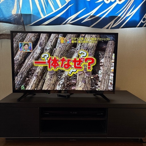 Hisense 32型 液晶テレビ