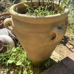 テラコッタ植木鉢など多数の画像