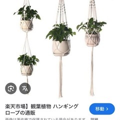 観葉植物 吊るすロープの画像