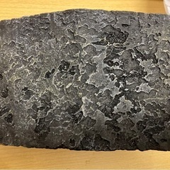 爬虫類　ヤシガニ　など　シェルターの画像