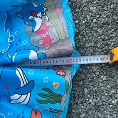 幼児用プールの画像