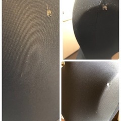 レディース マネキン ボディ  の画像