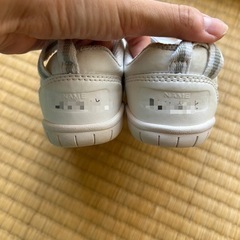 うわばきの画像