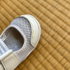 うわばきの画像