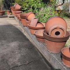 植木鉢　大中小30鉢位　無料ありの画像