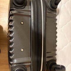 Mサイズくらいのスーツケース(キャリーケース)の画像