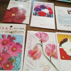 椿、野菜と花の種の画像