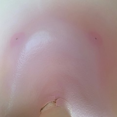 バンボの画像