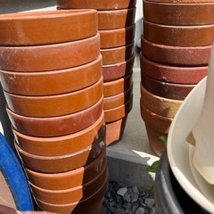 植木鉢　多数の画像