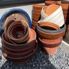 植木鉢　多数の画像