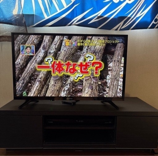Hisense 32型 液晶テレビ