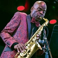 即興演奏が好きなサックス吹きです