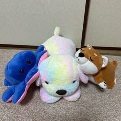 ぬいぐるみの画像
