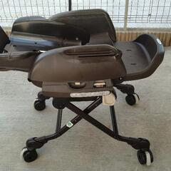 ネムリラ　オートスウィングの画像