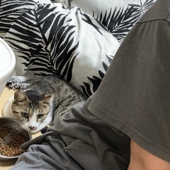 急募　新しい家族探してます。