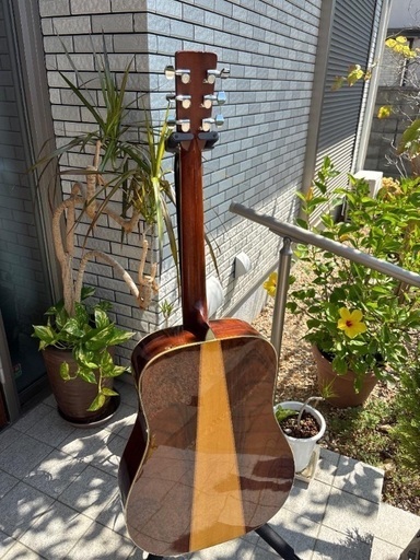 Morris W-60 トップ単板 サイド、パックはハカランダ Morris W-60