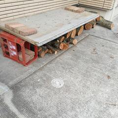 丸太（小サイズ）8本セットの画像