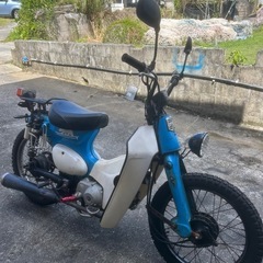 リトルカブの画像