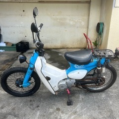 リトルカブの画像