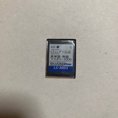 SII Dr.VOICE neo SV-E1100 セットの画像
