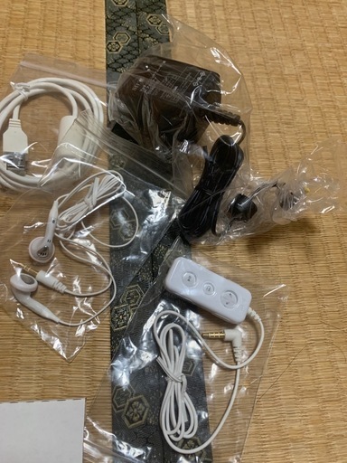 SII Dr.VOICE neo SV-E1100 セット