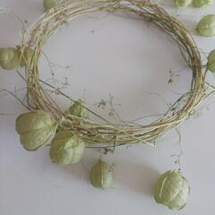 【無料】フウセンカズラのリース　ハンドメイド　18cmの画像