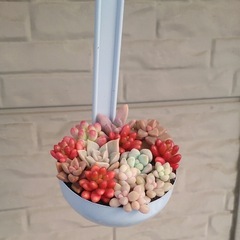 SALE✨No.74レードル型ガーデンポット　ハンドメイド　植木鉢　多肉植物　サボテン　の画像