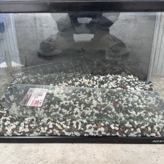 45cm水槽＋上部フィルターの画像