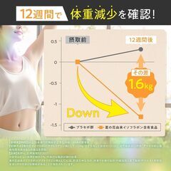ファットダウンサポートスムージー 体重やお腹の脂肪を減らす ダイエット 置き換えの画像