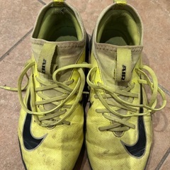 NIKE トレシューの画像