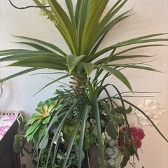 人工観葉植物の画像