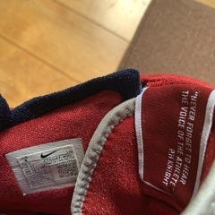 ナイキ　nike スニーカー　レブロン　26の画像