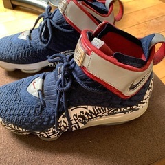 ナイキ　nike スニーカー　レブロン　26の画像