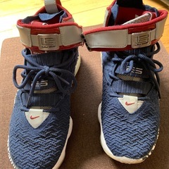 ナイキ　nike スニーカー　レブロン　26の画像