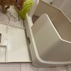デオトイレ式の猫ちゃんのトイレ　の画像